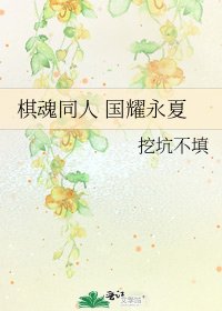 棋魂同人 国耀永夏